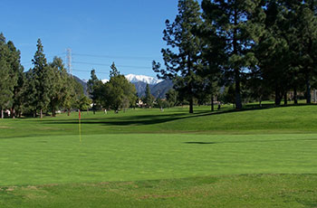 close up of green at Rancho Duarte Golf Course